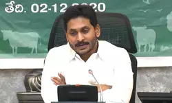 ఏపీలో అమూల్ పాల వెల్లువ ప్రాజెక్టు ప్రారంభం ఏపీలో అమూల్ పాల వెల్లువ ప్రాజెక్టు ప్రారంభం