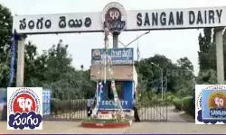 సంగం డెయిరీ స్వాధీనం జీవోను సస్పెండ్ చేసిన ఏపీ హైకోర్టు సంగం డెయిరీ స్వాధీనం జీవోను సస్పెండ్ చేసిన ఏపీ హైకోర్టు
