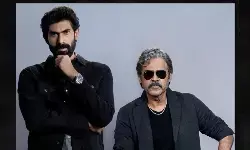 బాబాయ్ , అబ్బాయి ల సందడి