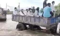 ట్రాక్టర్ లో సిరిసిల్ల కలెక్టర్ ట్రాక్టర్ లో సిరిసిల్ల కలెక్టర్