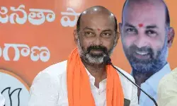 మొహం చెల్ల‌కే కెసీఆర్ ప్ర‌చారానికి రాలేదు