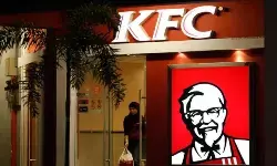 స‌ఫైర్ ఫుడ్స్ ఐపీవో న‌వంబ‌ర్ 9 నుంచి