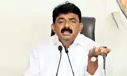 వైసీపీని..ప్రభుత్వాన్ని ఇరుకునపెట్టాలని చూస్తున్నారు వైసీపీని..ప్రభుత్వాన్ని ఇరుకునపెట్టాలని చూస్తున్నారు