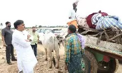 సొంత జిల్లాకు కష్టం వస్తే పర్యటించలేని సీఎం ఎందుకు?