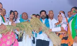 వరి కొనకపోతే టీఆర్ఎస్, బిజెపిలకు ఊరే వరి కొనకపోతే టీఆర్ఎస్, బిజెపిలకు ఊరే