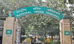 ఏపీ స‌ర్కారుకు ఎన్జీటీ షాక్