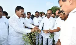 డిమాండ్ ఉన్న పంట‌లే వేయండి