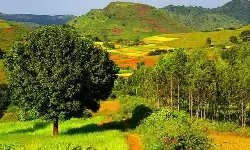 ఏపీకి సినీ పరిశ్రమ..ఇక మర్చిపోవటమే! ఏపీకి సినీ పరిశ్రమ..ఇక మర్చిపోవటమే!