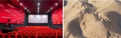 ఫ్రీ గా వచ్చే ఇసుక‌ను ప్ర‌భుత్వం ఎందుకు అమ్ముతుంది మ‌రి?