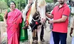 గుర్ర‌మెక్కిన బాల‌య్య‌