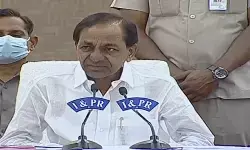 కేంద్ర సర్కారుకు మెదడు లేదు కేంద్ర సర్కారుకు మెదడు లేదు