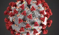 కోవిడ్ కథ ముగిసినట్లే! కోవిడ్ కథ ముగిసినట్లే!