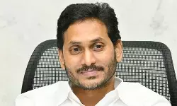 అదనపు ఆదాయాలపై ఫోకస్ పెట్టండి అదనపు ఆదాయాలపై ఫోకస్ పెట్టండి