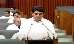 ఏపీ బడ్జెట్ 2,56,256 కోట్ల రూపాయలు ఏపీ బడ్జెట్ 2,56,256 కోట్ల రూపాయలు