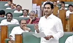 నారా చంద్రబాబు కంటే..సారా చంద్రబాబే బెటర్ నారా చంద్రబాబు కంటే..సారా చంద్రబాబే బెటర్