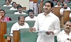 రాజ‌ధాని తీర్పులో హైకోర్టు ప‌రిధి దాటింది