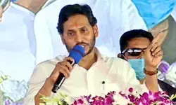 నా మీద పడి ఏడిస్తే పోతారు జాగ్రత్త నా మీద పడి ఏడిస్తే పోతారు జాగ్రత్త