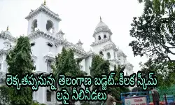 తెలంగాణ కీలక స్కీమ్ లపై నీలినీడలు తెలంగాణ కీలక స్కీమ్ లపై నీలినీడలు