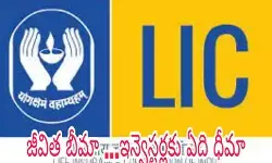 జీవిత బీమా  సంస్థ‌ ...ఇన్వెస్ట‌ర్ల‌కు ఏది ధీమా