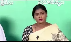 మెఘా ప్రాజెక్టుల అక్రమాలపై సీబీఐ విచారణ జరిపించాలి మెఘా ప్రాజెక్టుల అక్రమాలపై సీబీఐ విచారణ జరిపించాలి