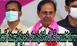 కెసీఆర్ కమ్యూనిస్టులను కలుపుకునేంత వీక్ అయిపోయారా?! కెసీఆర్ కమ్యూనిస్టులను కలుపుకునేంత వీక్ అయిపోయారా?!