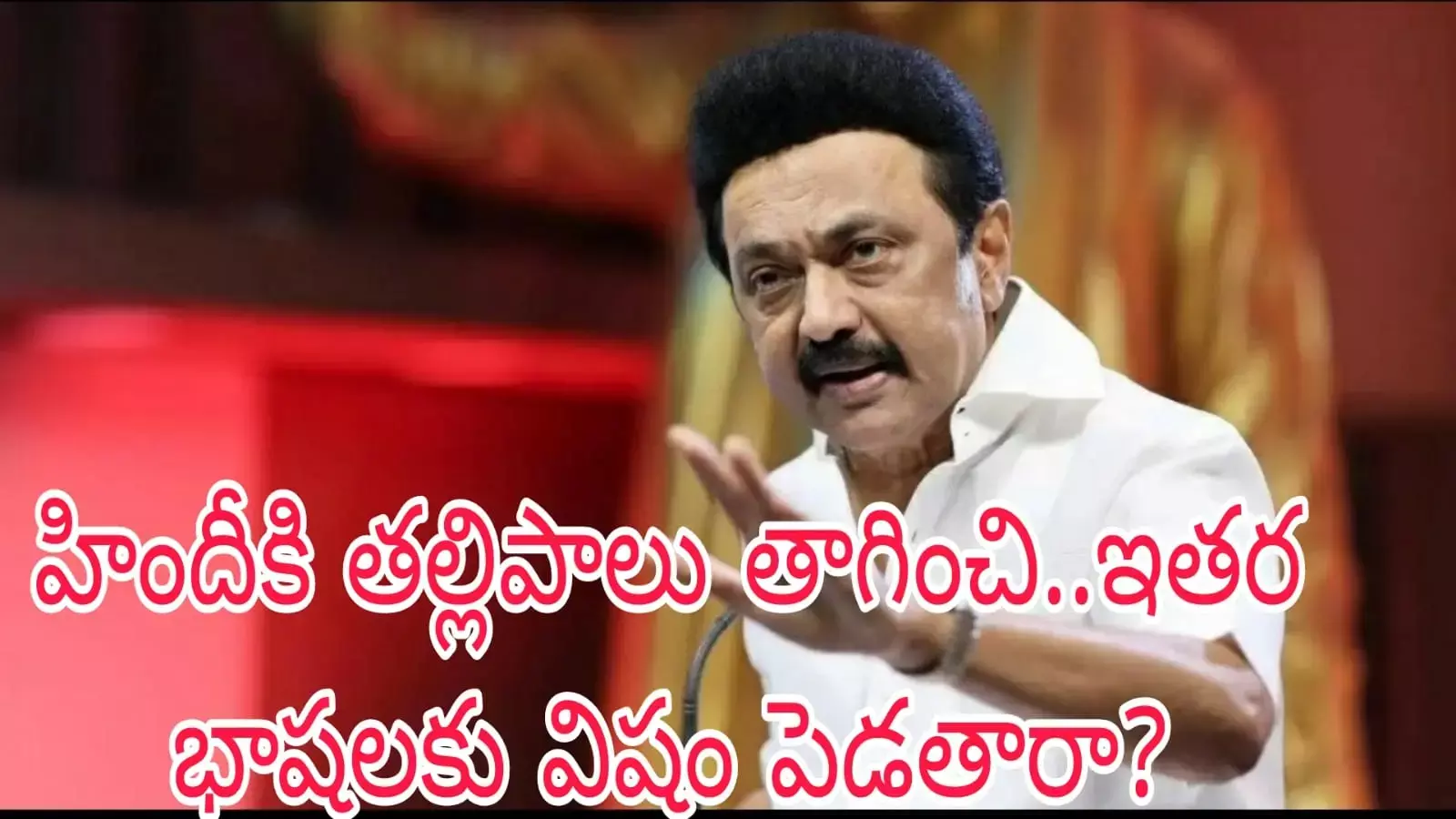 హిందీకి త‌ల్లిపాలు తాగించి..ఇత‌ర భాష‌ల‌కు విషం పెడ‌తారా?