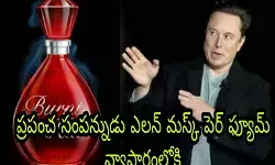 ప్రపంచ సంపన్నుడు ఎలన్ మస్క్ పెర్ ఫ్యూమ్ వ్యాపారంలోకి ప్రపంచ సంపన్నుడు ఎలన్ మస్క్ పెర్ ఫ్యూమ్ వ్యాపారంలోకి