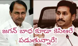 జగన్ బాధ కూడా కెసిఆరే పడుతున్నారే!