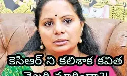 కెసిఆర్ ని కలిశాక కవిత వైఖరి మారిందా?!