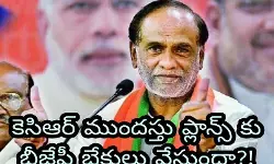 కెసిఆర్ ముందస్తు ప్లాన్స్ కు బీజేపీ బ్రేకులు వేస్తుందా?!