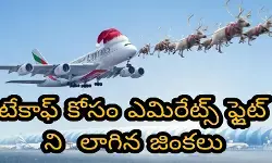 టేకాఫ్ కోసం ఎమిరేట్స్ ఫ్లైట్ ని లాగిన జింకలు టేకాఫ్ కోసం ఎమిరేట్స్ ఫ్లైట్ ని లాగిన జింకలు