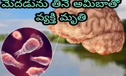 మెదడును తినే అమీబాతో వ్యక్తి మృతి