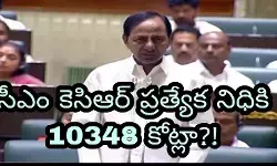 ఆ ప్రత్యేక నిధుల మతలబు ఏమిటో ఆ ప్రత్యేక నిధుల మతలబు ఏమిటో