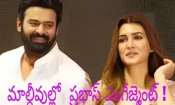 మాల్దీవుల్లో ప్రభాస్ ఎంగేజ్మెంట్ ! మాల్దీవుల్లో ప్రభాస్ ఎంగేజ్మెంట్ !