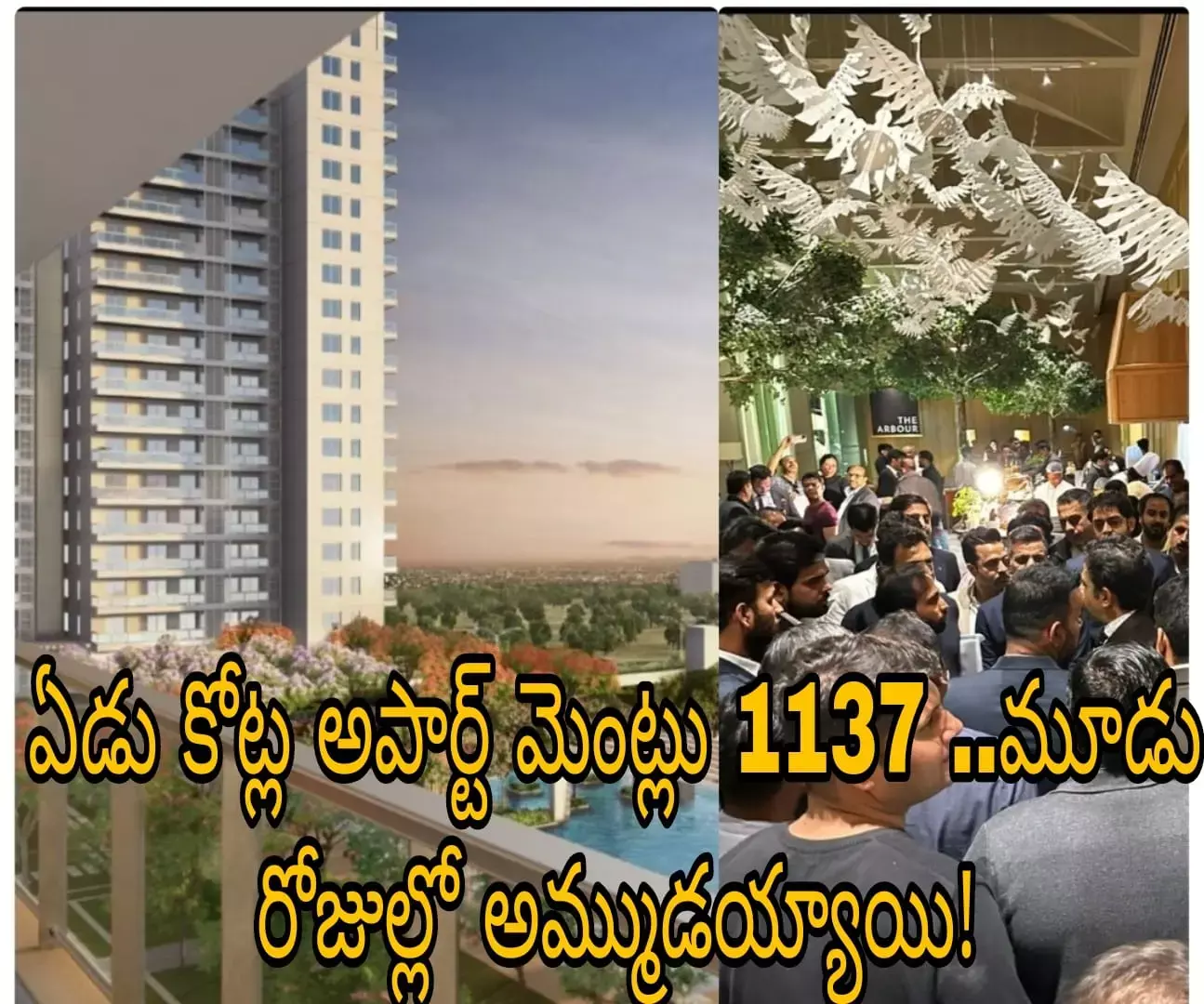 ఏడు కోట్ల అపార్ట్ మెంట్లు 1137 ..మూడు రోజుల్లో అమ్ముడయ్యాయి!