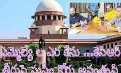 ఇక్కడా క్షమాపణ..అక్కడా క్షమాపణ !