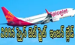 భయపెట్టిన స్పైస్ జెట్ బ్యాంకాక్ ఫ్లైట్