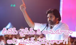 ఏపీలో బీజేపీ గుట్టు రట్టు చేసిన పవన్! ఏపీలో బీజేపీ గుట్టు రట్టు చేసిన పవన్!