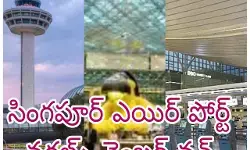 ఛాంగీ ఎయిర్ పోర్టే కింగ్ ఛాంగీ ఎయిర్ పోర్టే కింగ్