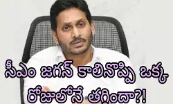 సీఎం జగన్ కాలినొప్పి ఒక్క రోజులోనే తగ్గిందా?! సీఎం జగన్ కాలినొప్పి ఒక్క రోజులోనే తగ్గిందా?!