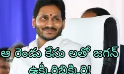 జగన్ కు కేసు ల తిప్పలు !