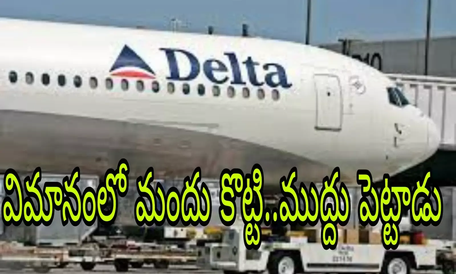 డెల్టా ఎయిర్ లైన్స్ లో షాకింగ్ ఘటన డెల్టా ఎయిర్ లైన్స్ లో షాకింగ్ ఘటన