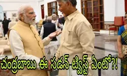 చంద్రబాబు ప్రకటన..టీడీపీ కి లాభమా..నష్టమా !