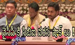 వైసీపీ కి సిబిఐ వరస షాక్ లు ! వైసీపీ కి సిబిఐ వరస షాక్ లు !