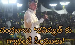 విమర్శిస్తూనే పథకాల రేస్ లోకి దూకిన బాబు విమర్శిస్తూనే పథకాల రేస్ లోకి దూకిన బాబు