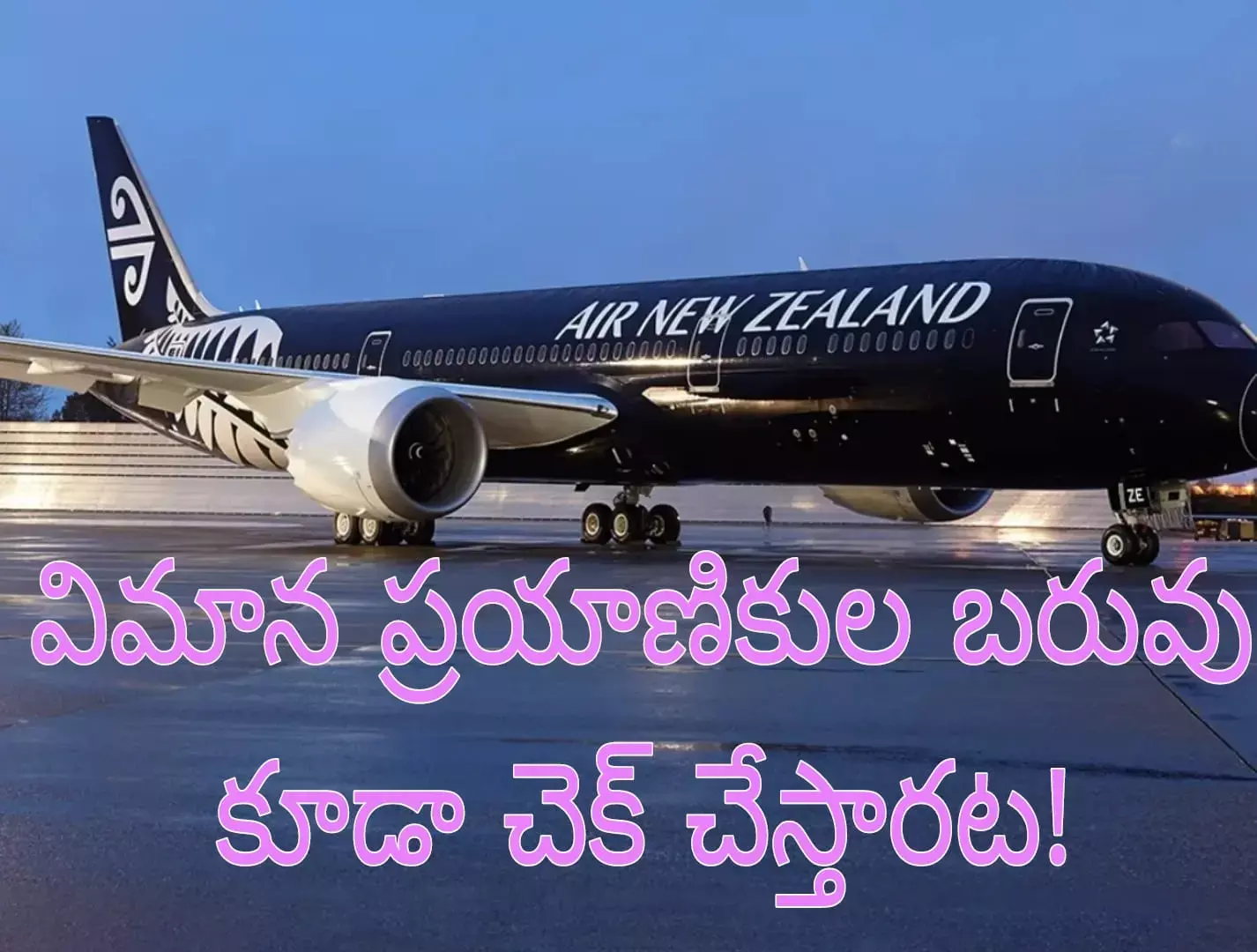 ఎయిర్ న్యూజిలాండ్ వెరైటీ నిర్ణయం ఎయిర్ న్యూజిలాండ్ వెరైటీ నిర్ణయం