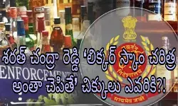 స్మార్ట్ గా స్కాం లు..అనక సవాళ్లు