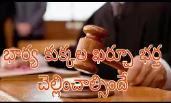 ఈ తీర్పు చాలా వెరైటీ ఈ తీర్పు చాలా వెరైటీ