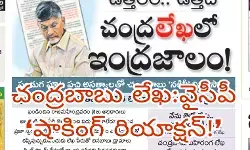 అంత కలవరపాటు ఏంటో !