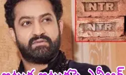 అభిమాని వెరైటీ ప్రయత్నం అభిమాని వెరైటీ ప్రయత్నం